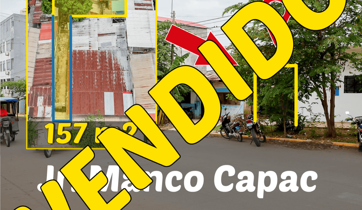 426 quinta-02-01