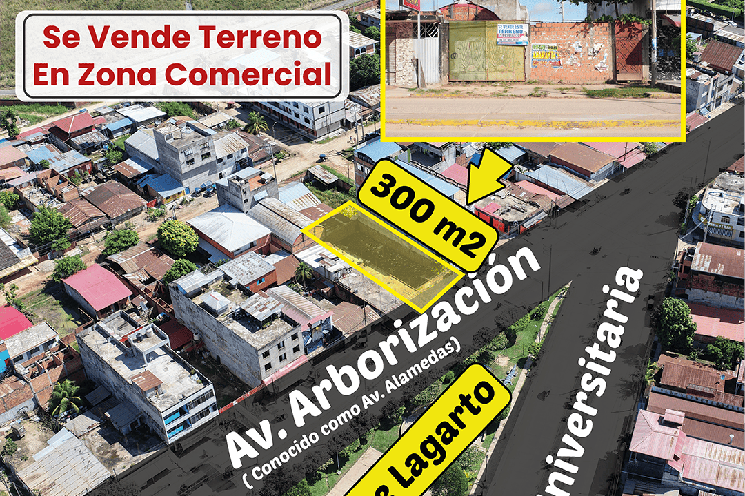449 arborizacion_Mesa de trabajo 1 copia (1)