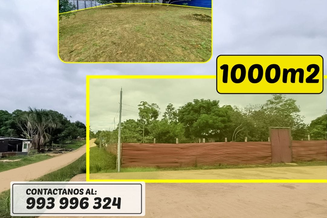 453 km 17 - 1000m2_Mesa de trabajo 1