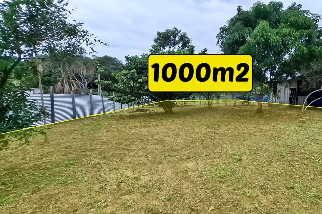 453 km 17 - 1000m2_Mesa de trabajo 1 copia