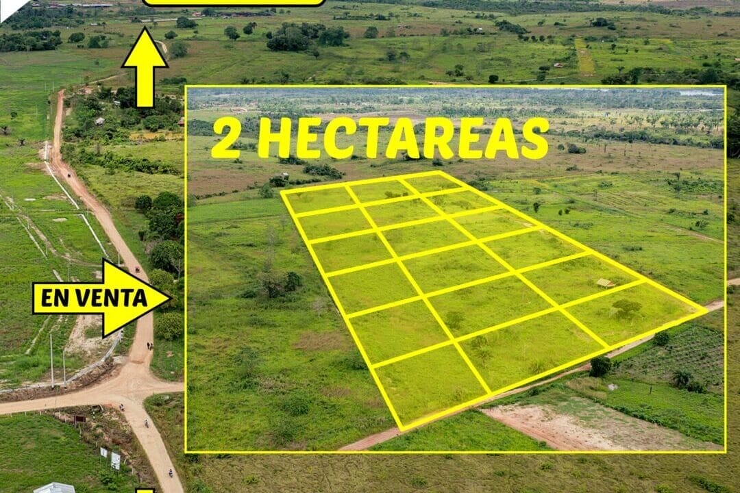 LOTE_Mesa de trabajo 1 copia 2