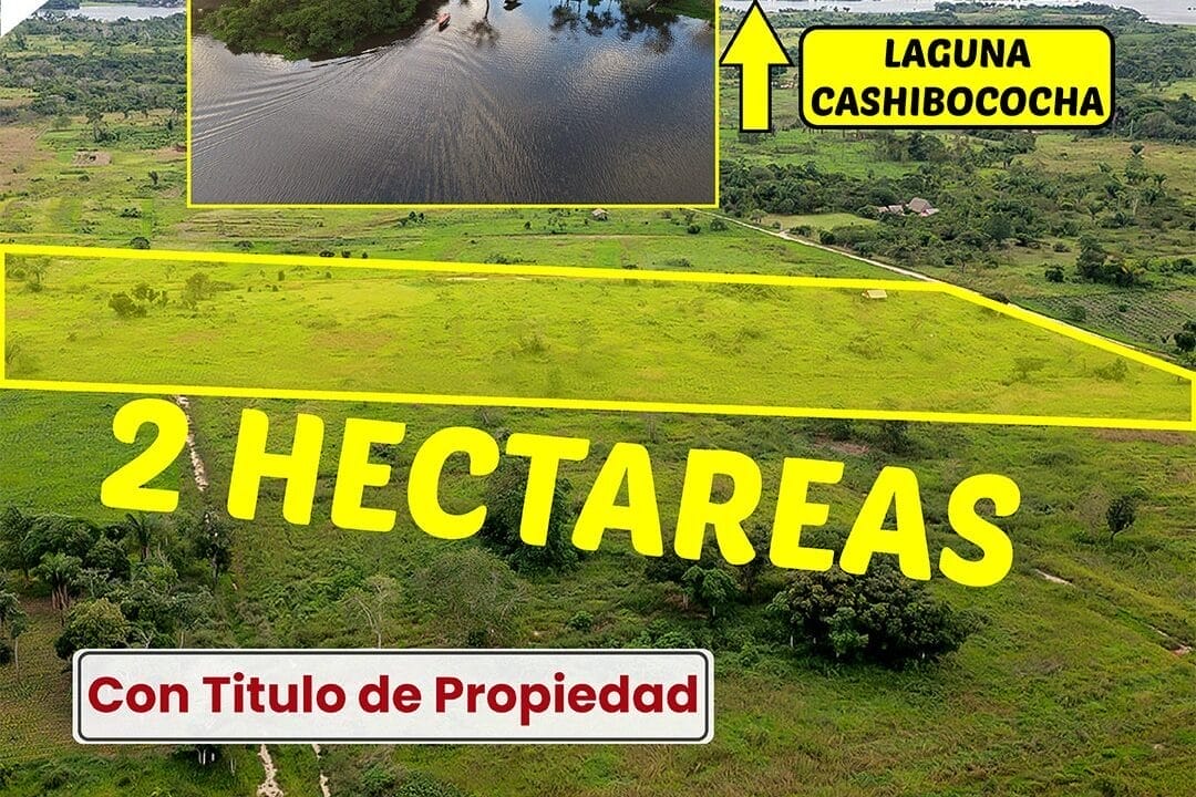 Se vende terreno de 2 hectareas en Pucallpa 3
