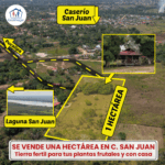 Inmobiliaria Gestihogar ¡𝐆𝐑𝐀𝐍 𝐎𝐏𝐎𝐑𝐓𝐔𝐍𝐈𝐃𝐀𝐃𝐒𝐄 𝐕𝐄𝐍𝐃𝐄 𝐂𝐀𝐒𝐈 𝐔𝐍𝐀 𝐇𝐄𝐂𝐓𝐀𝐑𝐄𝐀 𝐃𝐄 𝐓𝐄𝐑𝐑𝐄𝐍𝐎 𝐂𝐎𝐍 𝐏𝐋𝐀𝐍𝐓𝐀𝐒 𝐅𝐑𝐔𝐓𝐀𝐋𝐄𝐒 - 𝐏𝐔𝐂𝐀𝐋𝐋𝐏𝐀